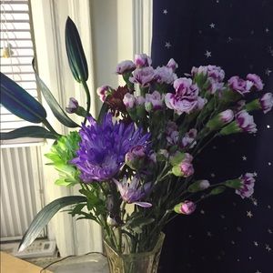 Meet your Posher, Heiyi